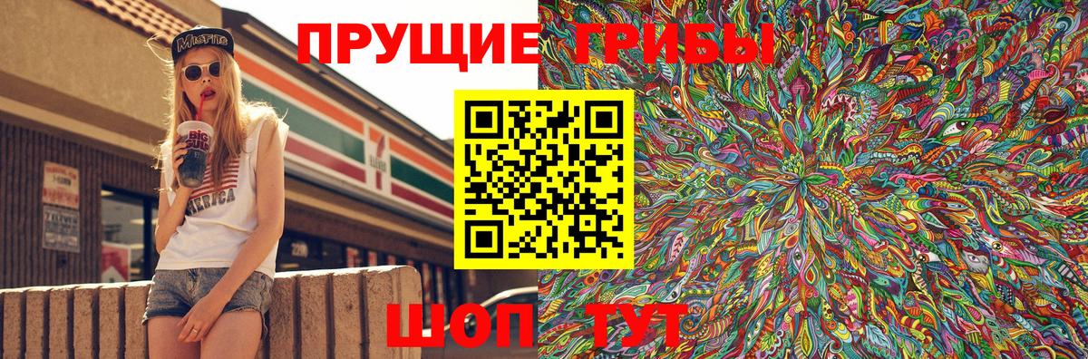 Псилоцибиновые грибы Psilocybe  Псилоцибиновые грибы GOLDEN TEACHER  Вход с VPN  Златоуст 